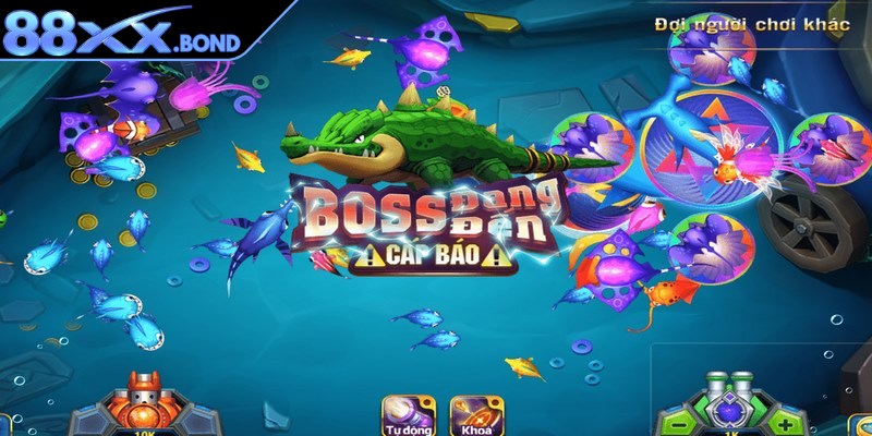 Cấp độ đa dạng tạo trải nghiệm mới lạ cho ngư thủ