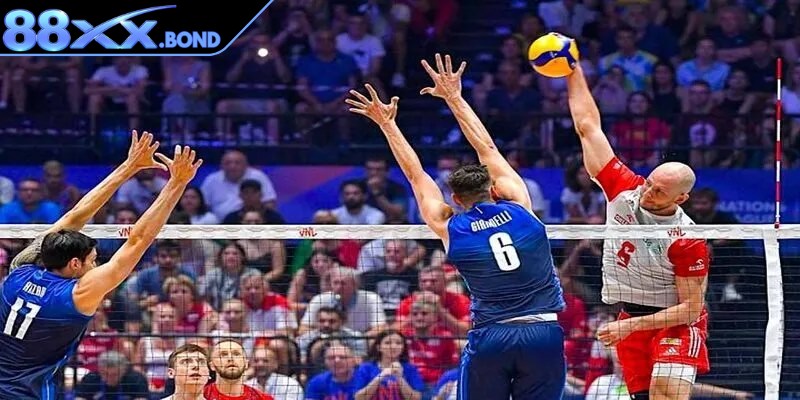 Khái niệm cơ bản về cá cược bóng chuyền bạn cần biết