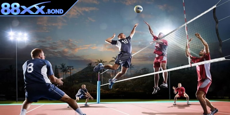 Các cửa cơ bản trong cá cược bóng chuyền