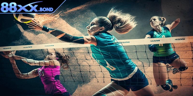 Chú ý đến lịch thi đấu của từng đội bóng để chọn cửa cược bóng chuyền phù hợp