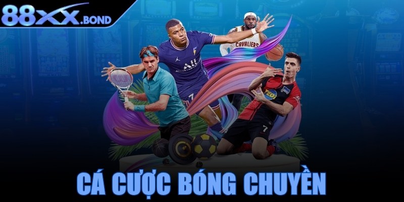 Cá cược bóng chuyền