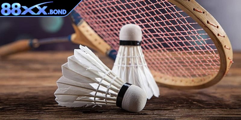 Cá cược cầu lông là bộ môn thể thao vô cùng phổ biến trên thị trường