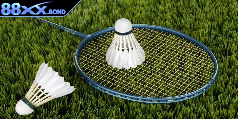 Phân tích kỹ lưỡng về kèo để có cái nhìn khách quan nhất