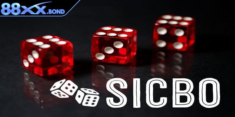 Nắm rõ luật cùng mẹo đánh sicbo anh em sẽ biết cách đặt tiền thông minh