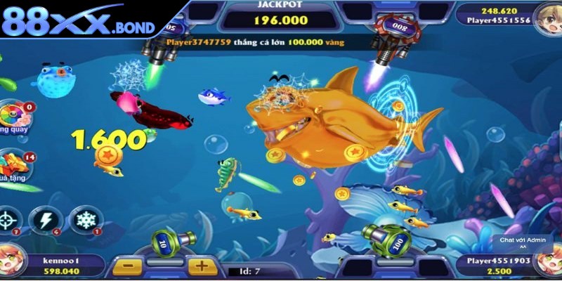 Hệ thống sinh vật biển đa dạng được phân cấp rõ ràng