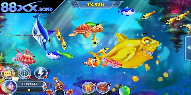 Khám phá Đại Dương đưa bạn bước vào thế giới sống động